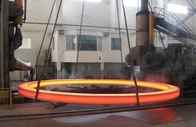 Edelstahl 316, der Ring Hot Forging Bearing Roller behält